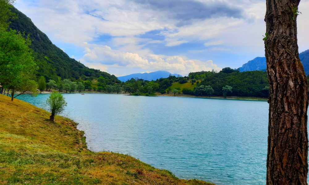 Petra Huber Immobilien e.U.