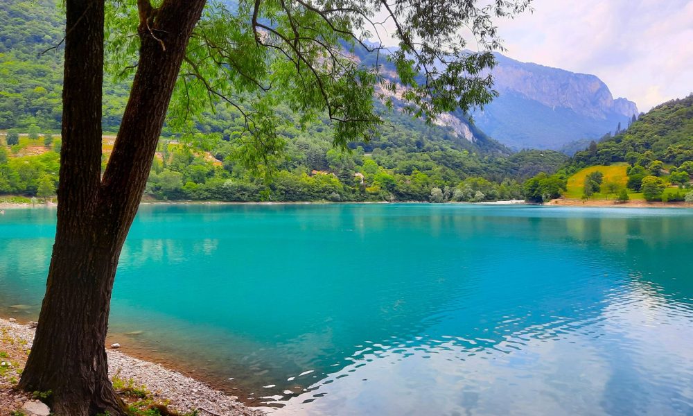 Petra Huber Immobilien e.U.