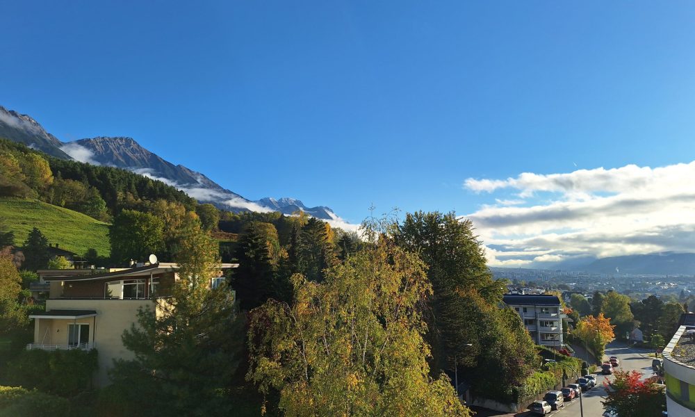 20241009_085713 (002)