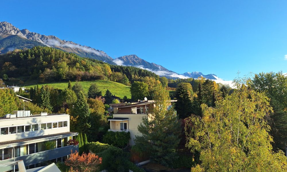 20241009_085721 (002)