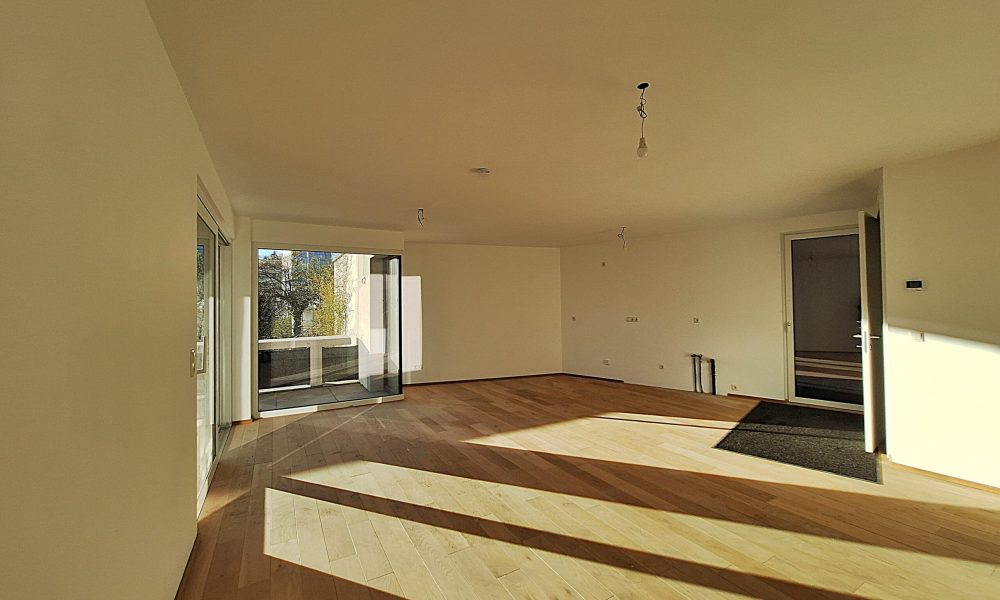 20241127_151322 (002)