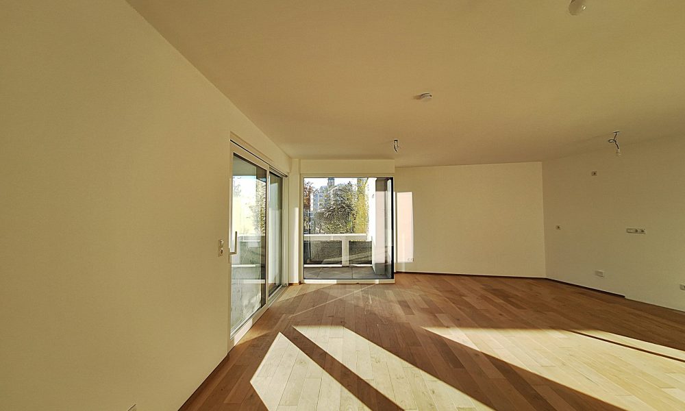 20241127_151329 (002)