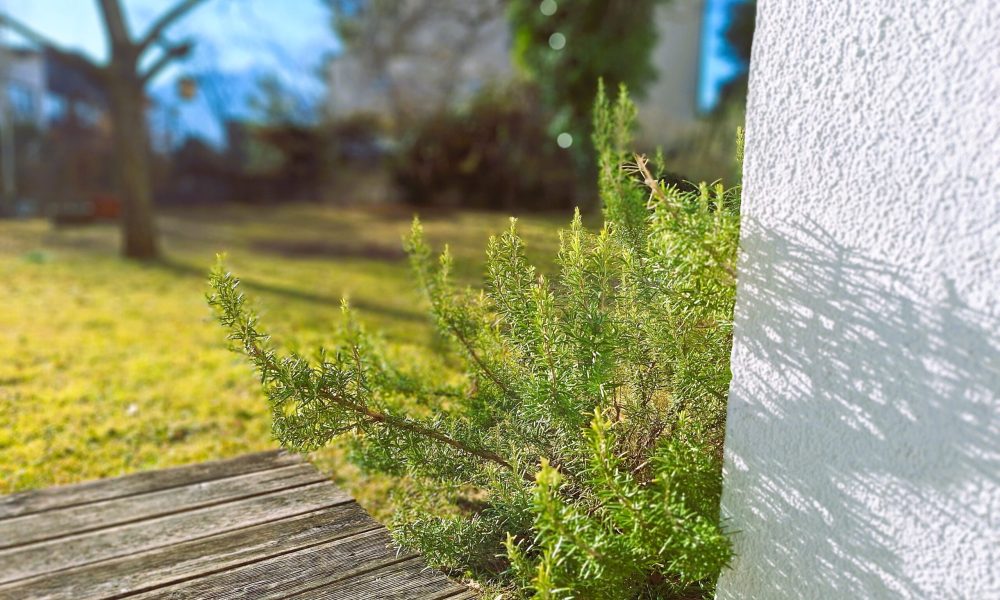 Petra Huber Immobilien TIROL