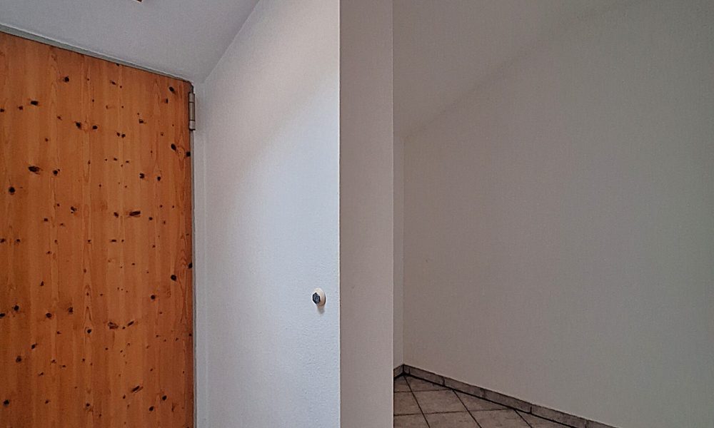 20250212_165038 (002)