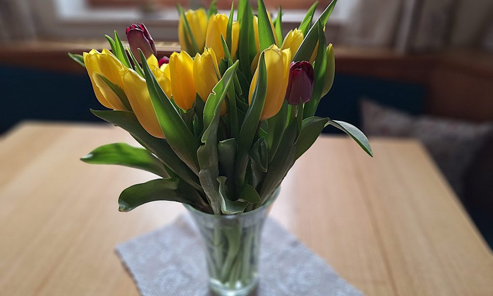 Petra Huber Immobilien TIROL