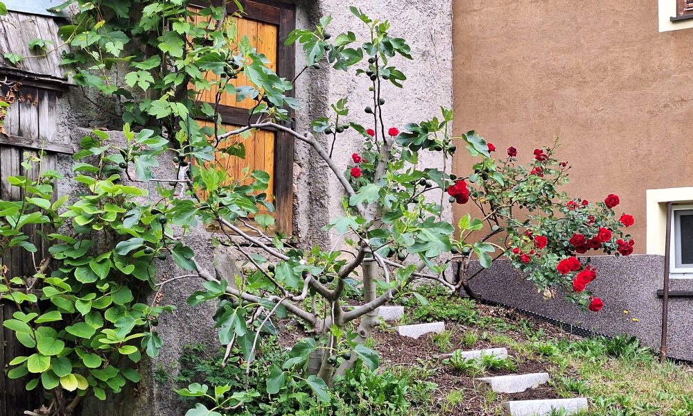 20250507_121138 (002)