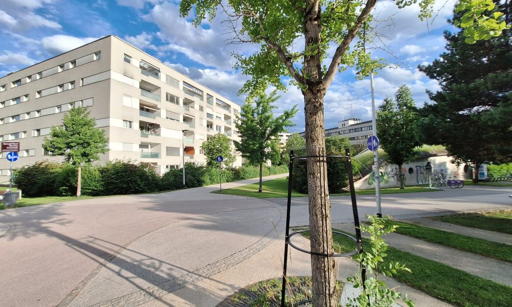 Petra Huber Immobilien TIROL