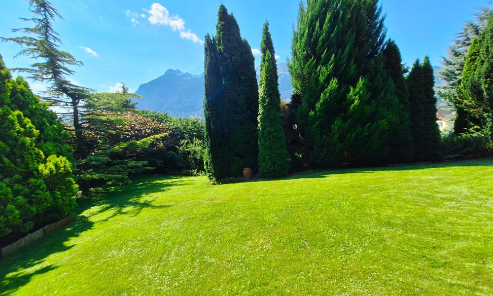 20250807_113213 (002)