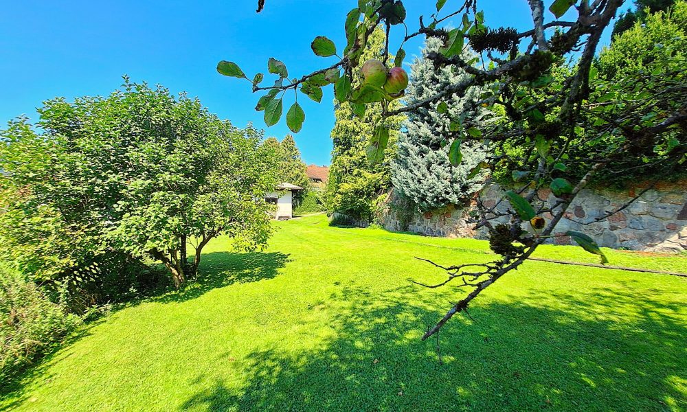 Petra Huber Immobilien TIROL