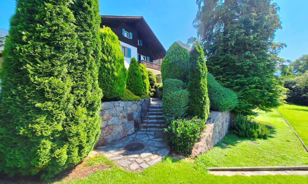 20250807_113839 (002)