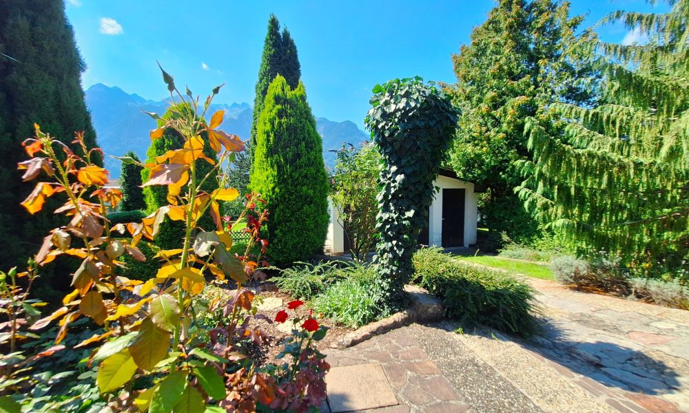 Petra Huber Immobilien TIROL