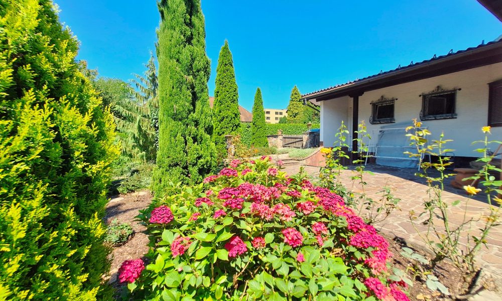 Petra Huber Immobilien TIROL