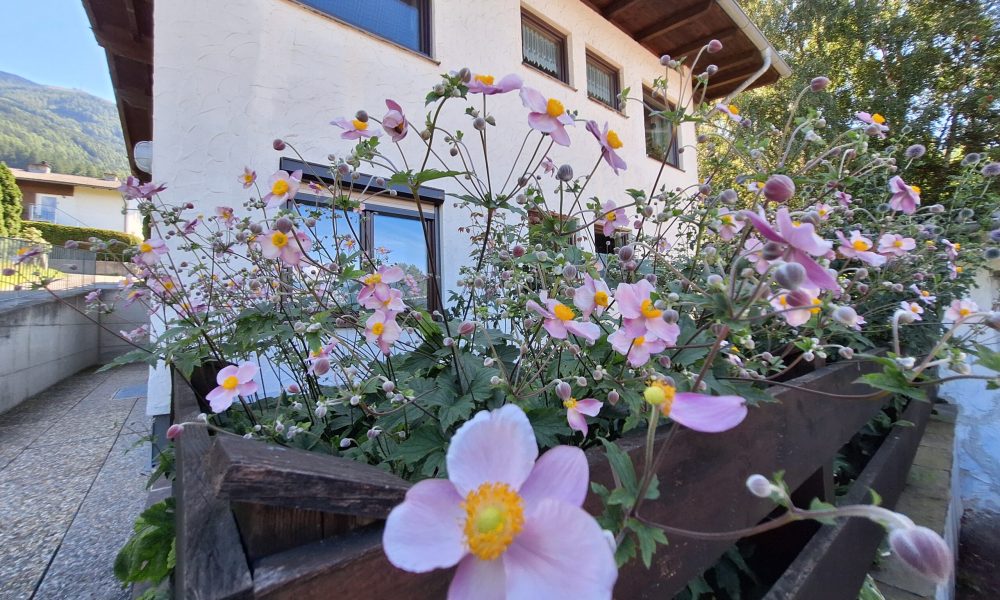 Petra Huber Immobilien TIROL