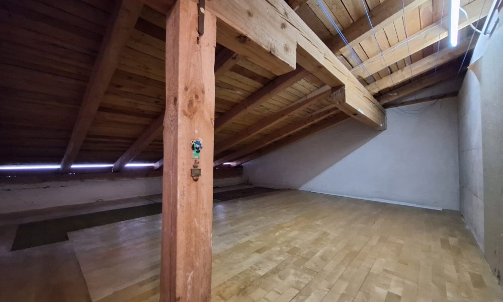 20260203_113758 (002) - Kopie