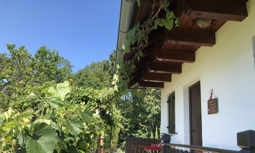 Petra Huber Immobilien TIROL