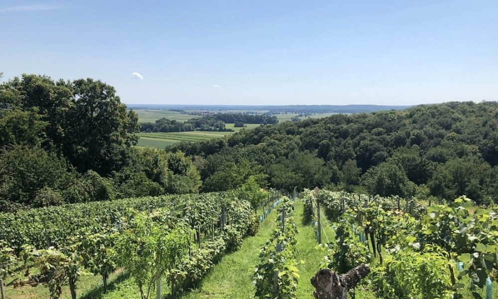 Petra Huber Immobilien TIROL