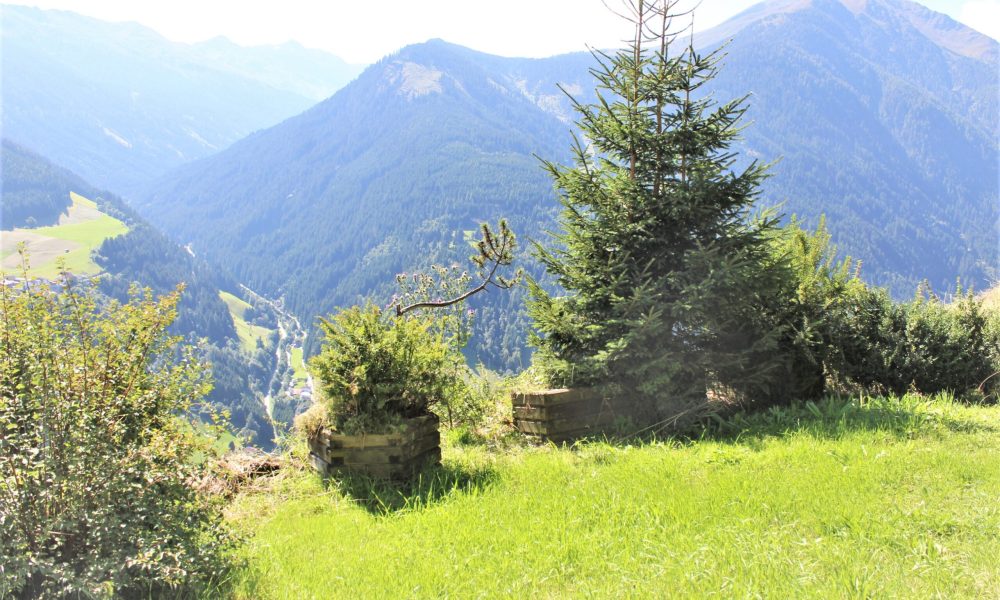 Petra Huber Immobilien TIROL