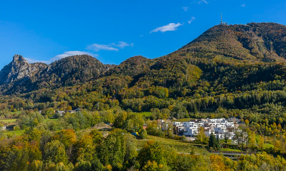 Petra Huber Immobilien