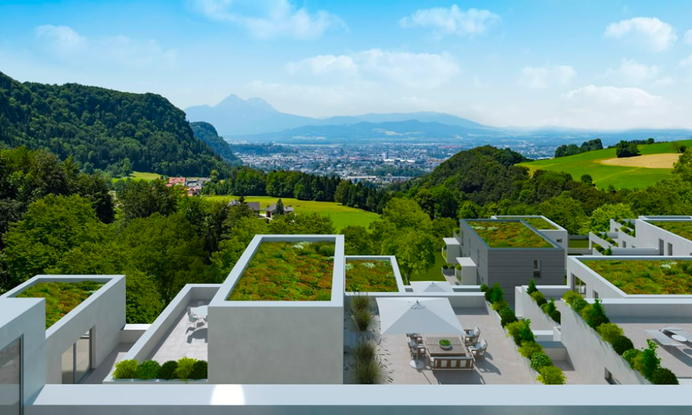 Petra Huber Immobilien