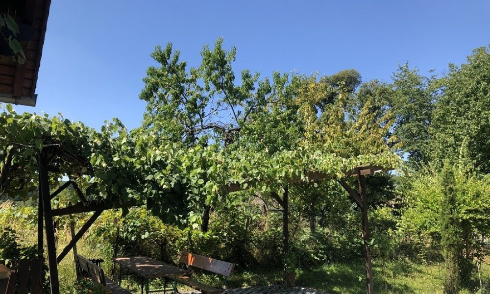 Petra Huber Immobilien TIROL